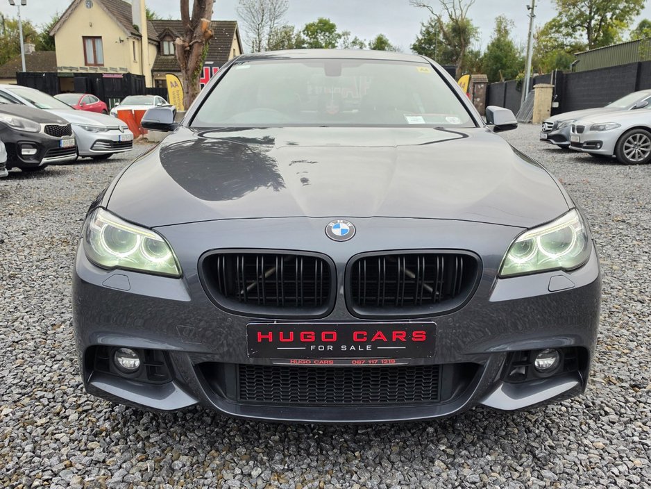 BMW 5 Series 2016 BMW 520d M-Sport Auto/New NCT/Warranty — photo 9